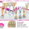 LOT DE 12 COUPES 2025-2