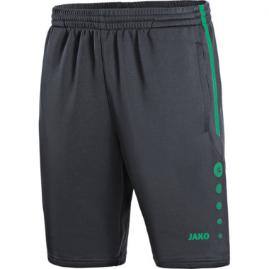 JAKO - LIGNE STRIKER 2.0 - SHORT D'ENTRAINEMENT - ADULTE - 8595 - NOUVELLE COLLECTION 